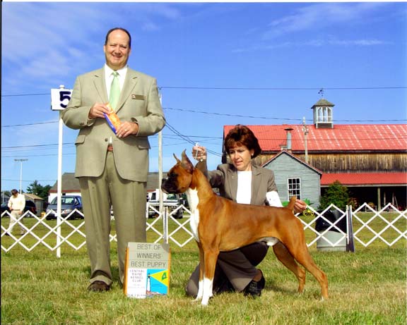 Central Me Kennel Club